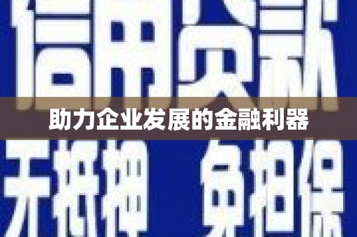 普格助力企业发展的金融利器
