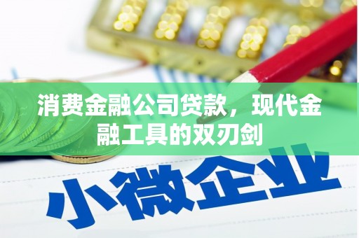 普格消费金融公司贷款，现代金融工具的双刃剑