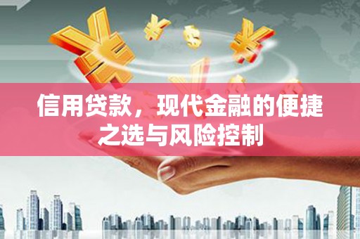 普格信用贷款，现代金融的便捷之选与风险控制