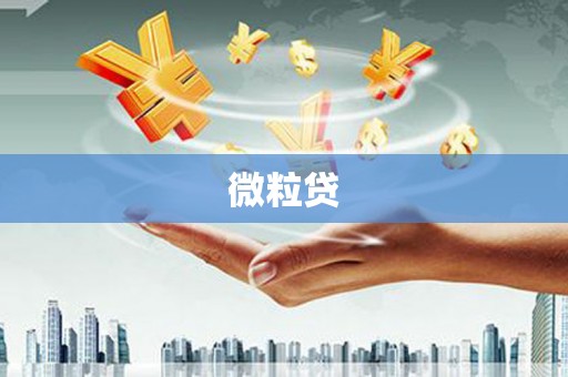 普格微粒贷