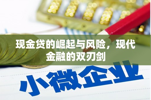 普格现金贷的崛起与风险，现代金融的双刃剑