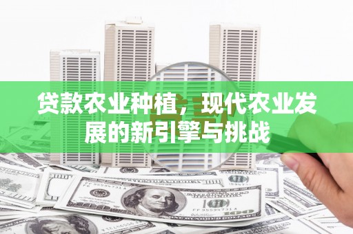 普格贷款农业种植，现代农业发展的新引擎与挑战