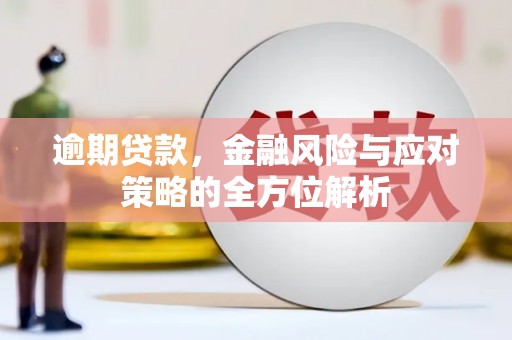 普格逾期贷款，金融风险与应对策略的全方位解析