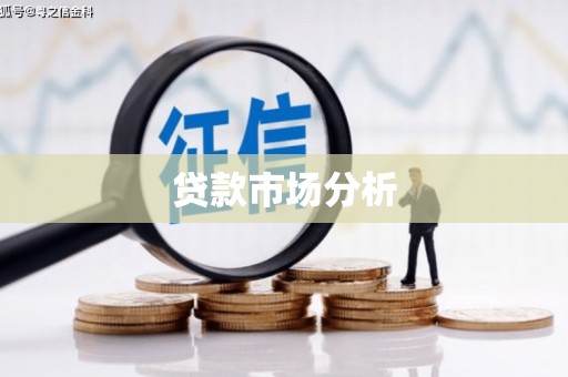普格贷款市场分析