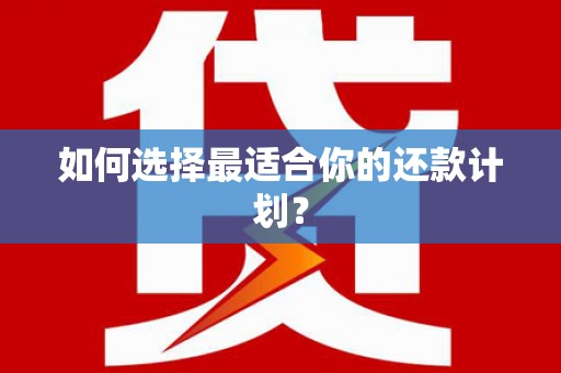 普格如何选择最适合你的还款计划？