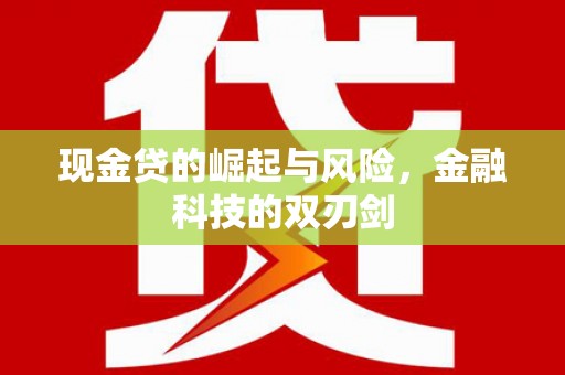 普格现金贷的崛起与风险，金融科技的双刃剑