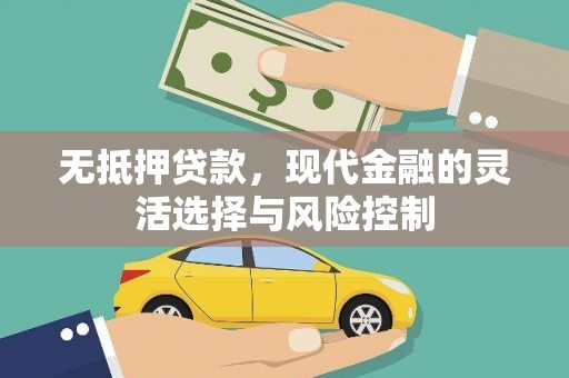 普格无抵押贷款，现代金融的灵活选择与风险控制