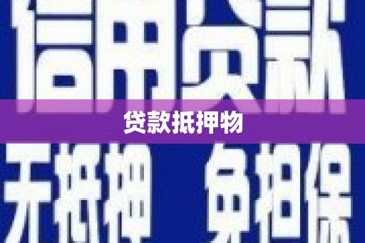 普格贷款抵押物