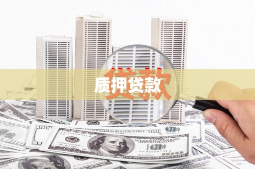 普格质押贷款