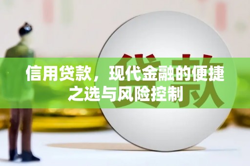普格信用贷款，现代金融的便捷之选与风险控制