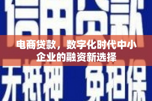普格电商贷款，数字化时代中小企业的融资新选择