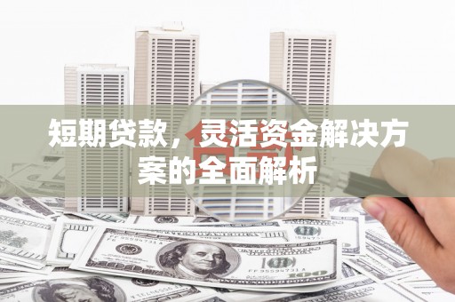 普格短期贷款，灵活资金解决方案的全面解析