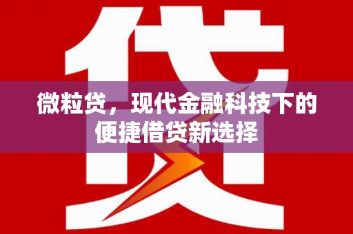 普格微粒贷，现代金融科技下的便捷借贷新选择