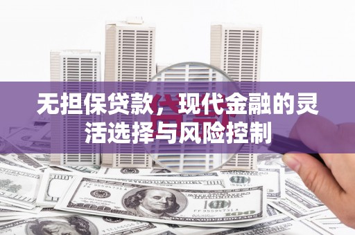 普格无担保贷款，现代金融的灵活选择与风险控制