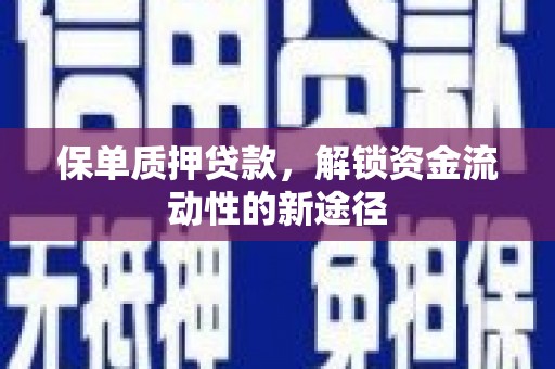 普格保单质押贷款，解锁资金流动性的新途径