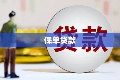 普格保单贷款
