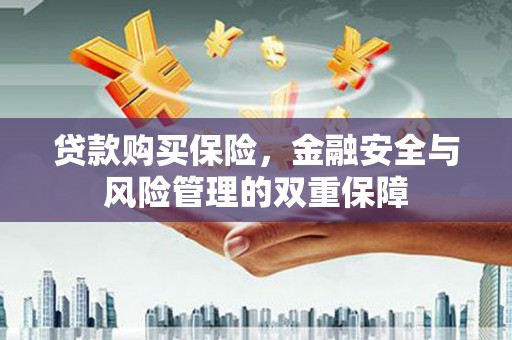普格贷款购买保险，金融安全与风险管理的双重保障