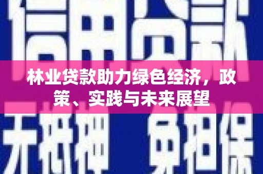 普格林业贷款助力绿色经济，政策、实践与未来展望