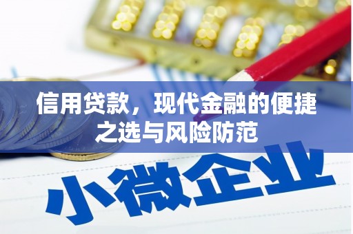 普格信用贷款，现代金融的便捷之选与风险防范