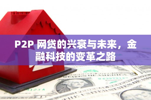 普格P2P 网贷的兴衰与未来，金融科技的变革之路