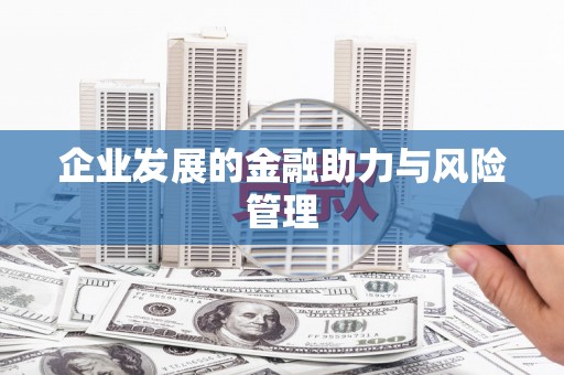 普格企业发展的金融助力与风险管理