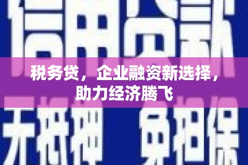普格税务贷，企业融资新选择，助力经济腾飞
