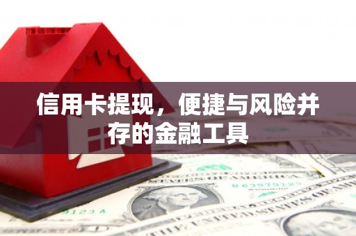 普格信用卡提现，便捷与风险并存的金融工具