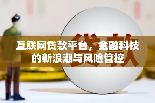 普格互联网贷款平台，金融科技的新浪潮与风险管控
