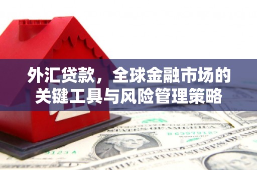 普格外汇贷款，全球金融市场的关键工具与风险管理策略