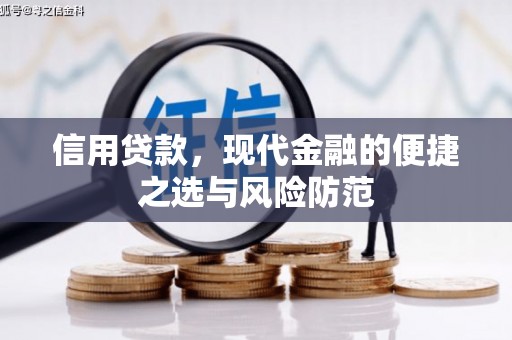 普格信用贷款，现代金融的便捷之选与风险防范
