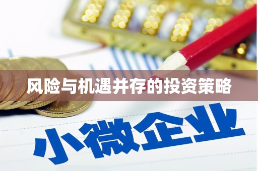 普格风险与机遇并存的投资策略