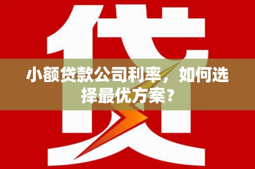 普格小额贷款公司利率，如何选择最优方案？
