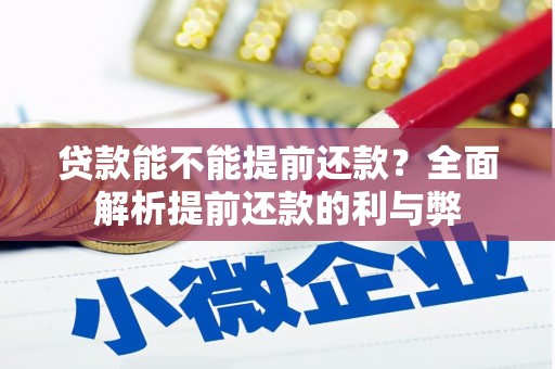 普格贷款能不能提前还款？全面解析提前还款的利与弊