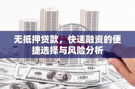 普格无抵押贷款，快速融资的便捷选择与风险分析