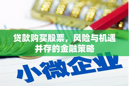 普格贷款购买股票，风险与机遇并存的金融策略
