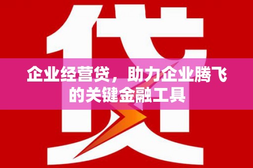 普格企业经营贷，助力企业腾飞的关键金融工具