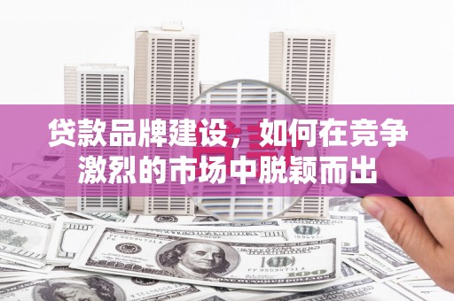 普格贷款品牌建设，如何在竞争激烈的市场中脱颖而出