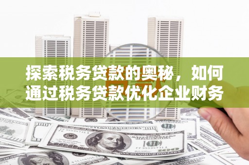 普格探索税务贷款的奥秘，如何通过税务贷款优化企业财务