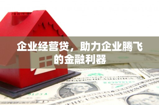 普格企业经营贷，助力企业腾飞的金融利器