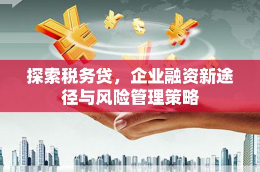 普格探索税务贷，企业融资新途径与风险管理策略