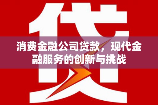 普格消费金融公司贷款，现代金融服务的创新与挑战