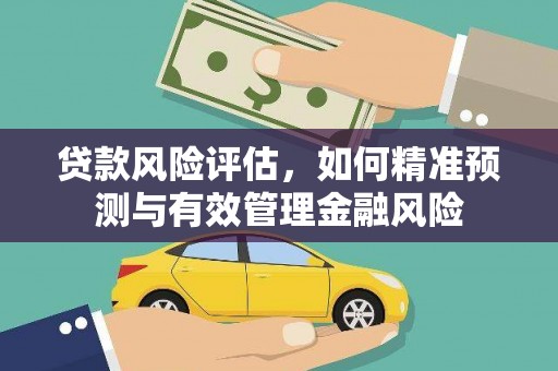 普格贷款风险评估，如何精准预测与有效管理金融风险