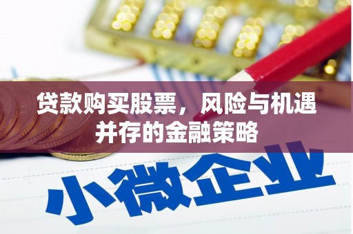 普格贷款购买股票，风险与机遇并存的金融策略