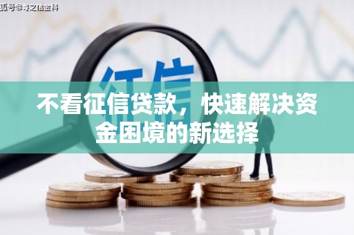 普格不看征信贷款，快速解决资金困境的新选择