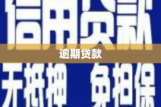 普格逾期贷款