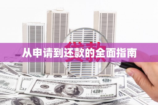 普格从申请到还款的全面指南