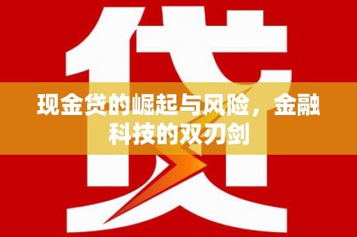 普格现金贷的崛起与风险，金融科技的双刃剑