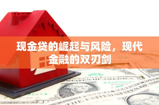 普格现金贷的崛起与风险，现代金融的双刃剑