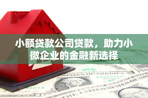 普格小额贷款公司贷款，助力小微企业的金融新选择