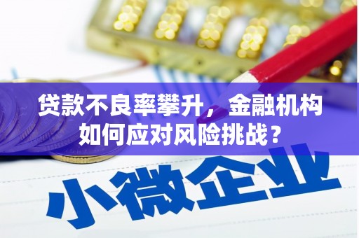 普格贷款不良率攀升，金融机构如何应对风险挑战？